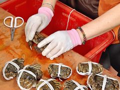 -阳澄湖大闸蟹·琼灵阁牌品牌连锁(吴中总店)