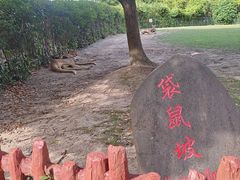 -上海野生动物园