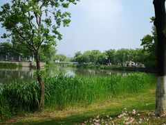 -尚贤河湿地