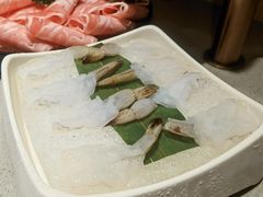 清甜蝴蝶虾-海底捞火锅(泉城路店)