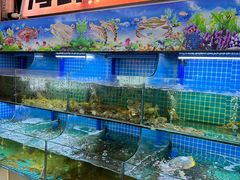 -陈小厨海鲜大咖·15年平潭味(龙王头店)
