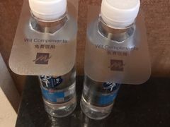 -宜春明月山维景国际温泉度假酒店