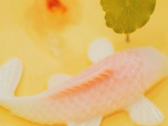 -虹御轩·传承江浙菜(虹桥店)