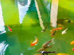 -三亚湾海居铂尔曼度假酒店