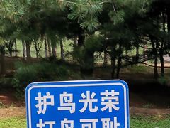 -大兴滨河森林公园