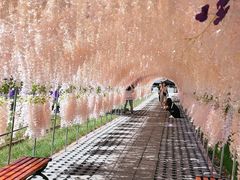 -南天门文化旅游风景区