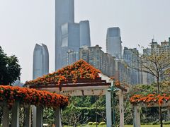 -广州珠江公园