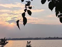 -丁香湖公园