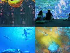 -海合安天津极地海洋公园