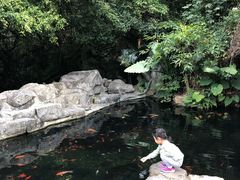 -青青世界