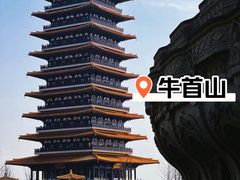-牛首山文化旅游区