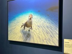 -福州海峡文化艺术中心