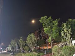 -橦橦小马扎烧烤 (传媒大学店)