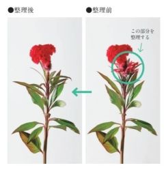 -今日陶艺(富力广场店)