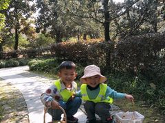 -杭州龙井幼儿园