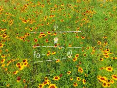 -武汉紫薇都市田园