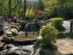 -大连植物园