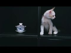 -行人小筑·茶馆(岑村火炉山分店)