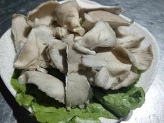 -马帮寨院坝火锅(龙港公园店)