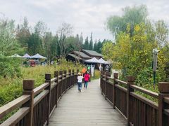 -溱湖国家湿地公园