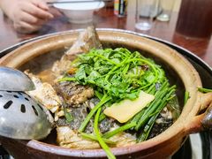 鱼头煲-华仔土鸡店(创意产业园店)