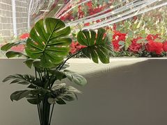 -好玩工厂密室·鹅鸭杀·桌游拼豆电玩