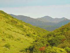 -大姆山草场