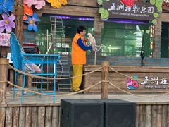 -南宫五洲植物乐园