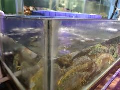 -辉记炭烧海鲜大排档·老字号(福田店)