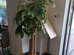 -金蚁康•经络调理•肩颈按摩(万达金街店)