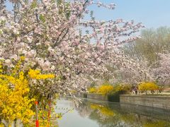 -元大都城垣遗址公园