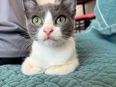 -桃楽楽(九州店)