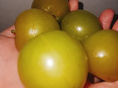 -呼吸森林·生态农庄农家乐私房菜