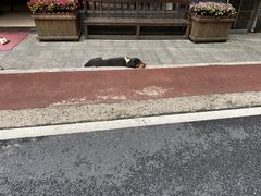 -太湖源风景区