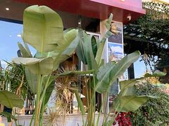 -野菌皇海景野生菌火锅(滨海大道店)
