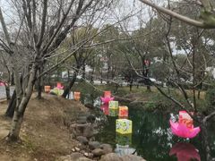 -香雪海