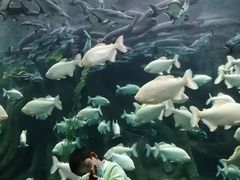 -哈尔滨波塞冬海底世界