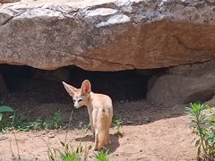 -沈阳森林动物园