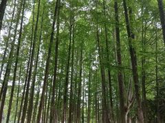 -范蠡湖公园