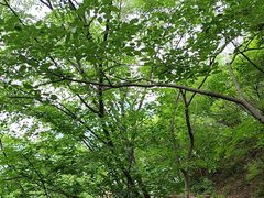 -野三坡清泉山风景区