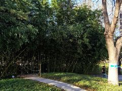 -丰台花园