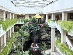 -白天鹅宾馆-宏图府餐厅