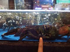 -徐记海鲜(梅溪新天地店)