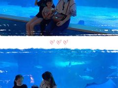 -常州海昌海洋探索馆