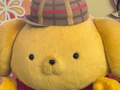-安吉Hello Kitty乐园