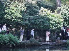 -惠山古镇·寄畅园