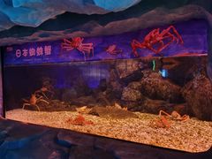 -珠海长隆海洋王国