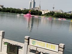 -莲花池公园
