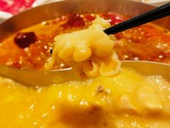 -澳美徕·港式花胶鸡火锅(高新万达店)