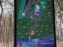 -枫花园汽车电影院(朝阳公园店)